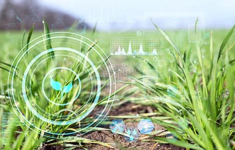 Automatic plant growth control without human intervention monitoring and anal Stock Photos