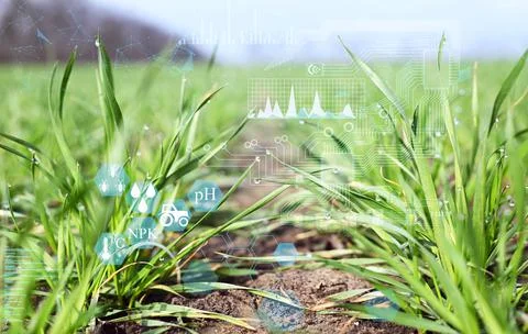 Automatic plant growth control without human intervention monitoring and anal Stock Photos