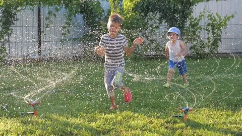 Automatic plant watering system. Stock Footage 93715258