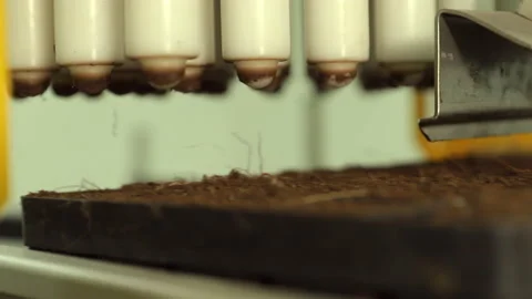 Automatic planting of seeds in plastic containers. Deep in the ground. Many Video stock 176507768