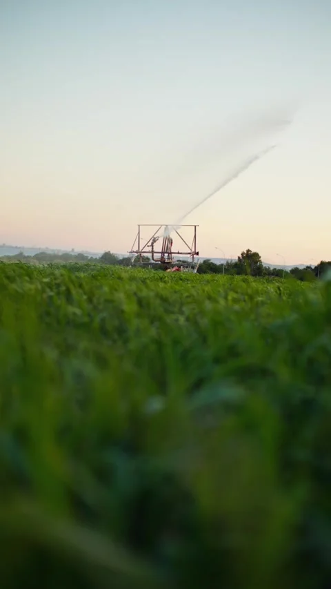 Automatic plowing of agricultural farm fields. Growing and caring for plants. Stock Footage 312275130