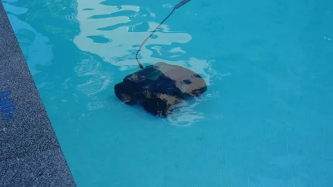 Automatic Pool Cleaning Robot Underwater In Swimming Pool Stock Footage 345614855