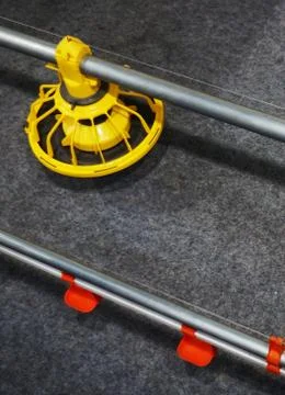 Automatic Poultry Feeding Machine In Caged Rearing Chicken Farm. Stock Photos