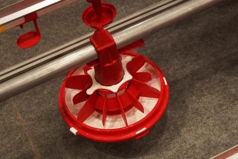 Automatic Poultry Feeding Machine In Caged Rearing Chicken Farm. Stock Photos