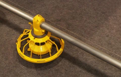 Automatic Poultry Feeding Machine In Caged Rearing Chicken Farm. Foto stock