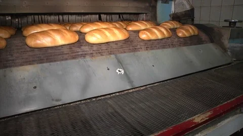 Automatic production of bread. Bread bakery food factory. White bread. loaf Video stock 71975917