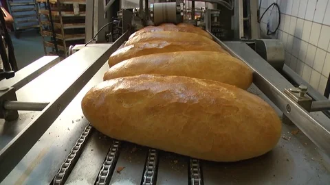 Automatic production of bread Stock Footage 71976470