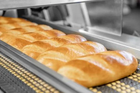 Automatic production line Baked breads from hot oven Stock Photos