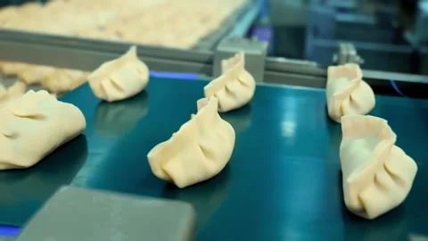 The Automatic Production Line of Dumplings operating within a modern Food Stock Footage 312269582