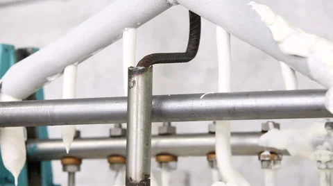 Automatic production line of ice cream Stock Footage 62265287