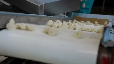 Automatic Production Line of russian dumplings Stock Footage 94153297