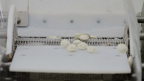 Automatic Production Line of russian dumplings Stock Footage 94153403
