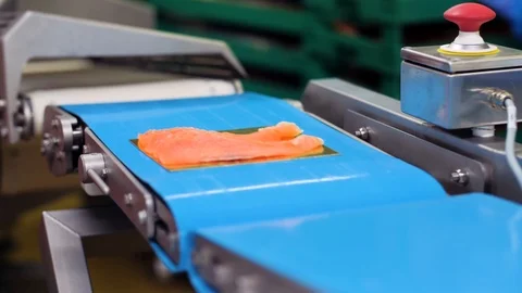 Automatic Quality control for Sliced Salmon in a fish factory. Stock Footage 111899469