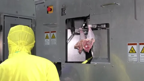 Automatic remove bone01 Stock Footage 241302667