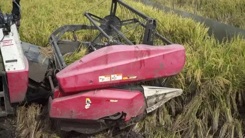 Automatic rice harvester machine or Combine Harvester. Stock Footage 170560039
