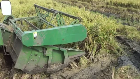 Automatic rice harvester machine or Combine Harvester. Stock Footage 170560264
