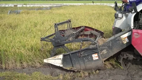 Automatic rice harvester machine or Combine Harvester. Stock Footage 170560466