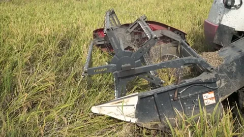 Automatic rice harvester machine or Combine Harvester. Stock Footage 170560476