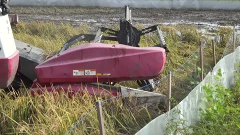 Automatic rice harvester machine or Combine Harvester. Stock Footage 170560485