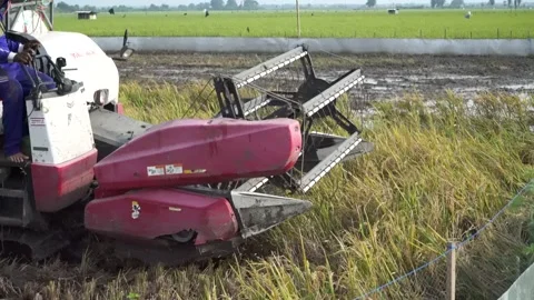 Automatic rice harvester machine or Combine Harvester. Stock Footage 170560542