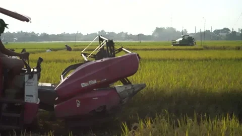 Automatic rice harvester machine or Combine Harvester. Stock Footage 170560643