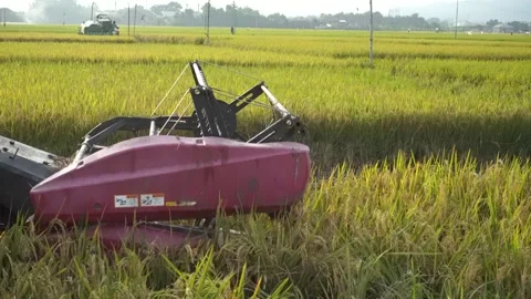 Automatic rice harvester machine or Combine Harvester. Stock Footage 170560668