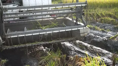 Automatic rice harvester machine or Combine Harvester. Stock Footage 170561126