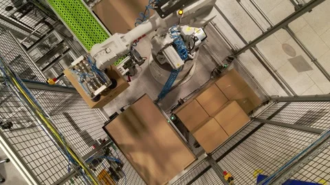 Automatic robotic arm picks up boxes from the conveyor and carefully places them Stock Footage 252647830