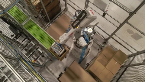 Automatic robotic arm picks up boxes from the conveyor and carefully places them Stock Footage 252648326