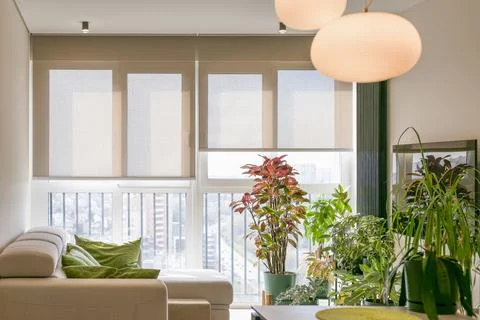 Automatic roller blinds on the high floor. Foto stock