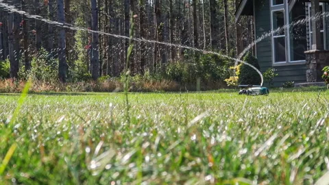 Automatic rotating sprinkler watering the lawn in front of a suburban home Stock Footage 284675984