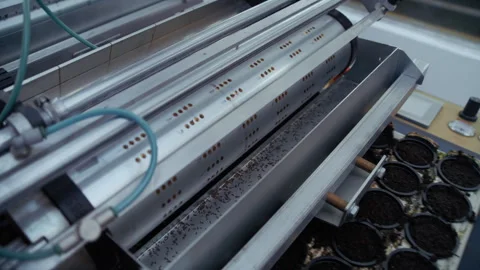 Automatic seeding machine distributing seeds on peat pots Stockbeeldmateriaal 313506579