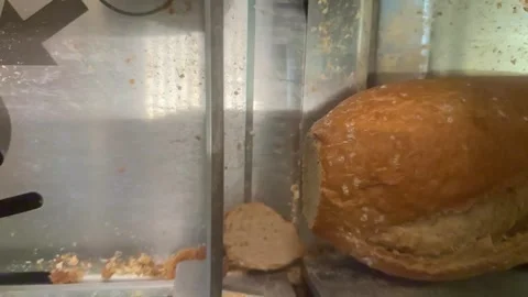 Automatic slicing of a loaf of crusty bread in a commercial machine Stock Footage 337910823