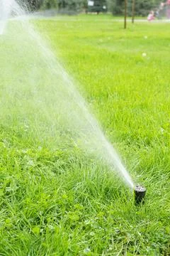 Automatic smart lawn sprinkler with adjustable head watering green lawn gra.. Foto stock