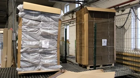 Automatic sorting of finished products in the warehouse of a cardboard Stock Footage 256606831