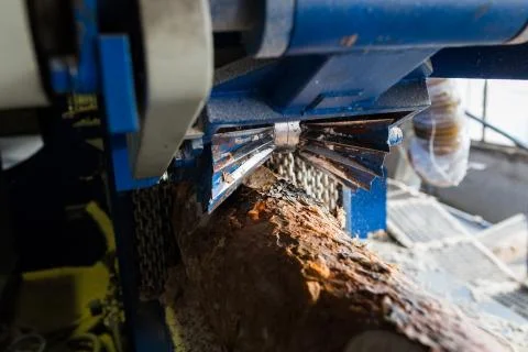 Automatic sorting logs diameter Stock Photos