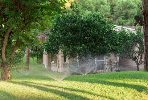 Automatic Sprinkle plants in the garden Stock Photos