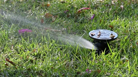 Automatic Sprinkler Stock Footage 50299554