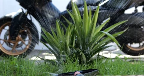 Automatic sprinkler irrigation system, close up, garden irrigation devices. 库存影片 279816846