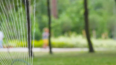 Automatic sprinkler irrigation system. Summer park. Recreational park close up Stock Footage 152644681
