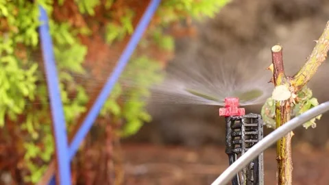 Automatic sprinkler spraying water. Closeup. 4K Video stock 197110298