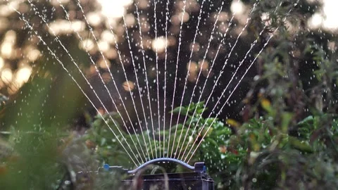 Automatic sprinkler spraying water in the garden Stock Footage 314999839