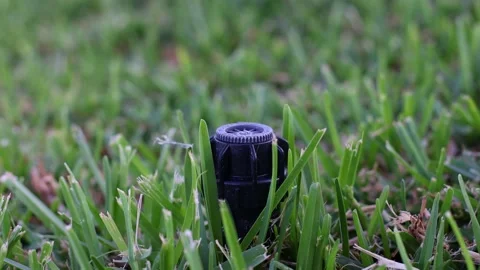 An automatic sprinkler system closeup in the grass. Selective focus. Motion. 4K Stock Footage 199395611