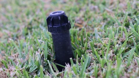 An automatic sprinkler system in the grass. Closeup. Selective focus. Video stock 196101260