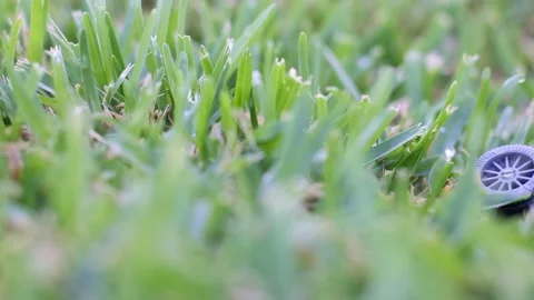 An automatic sprinkler system in the grass. Closeup. Selective focus. Video stock 196800705