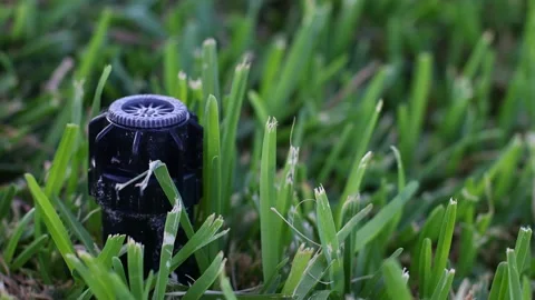 An automatic sprinkler system in the grass. Closeup. Selective focus. Stock Footage 196877159