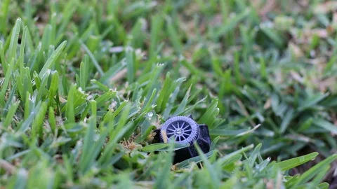 An automatic sprinkler system in the grass. Closeup. Selective focus. Video stock 196980724