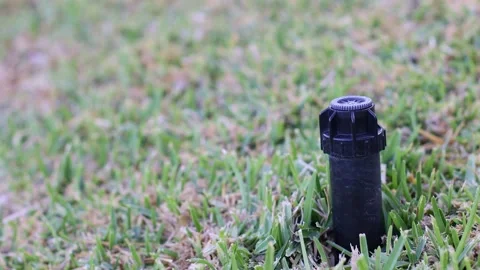 An automatic sprinkler system in the grass. Closeup. Selective focus. Video stock 197110256