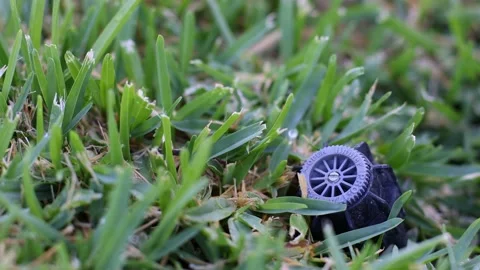 An automatic sprinkler system in the grass. Closeup. Selective focus. Stock Footage 197354478