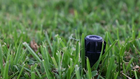 An automatic sprinkler system in the grass. Closeup. Selective focus. Video stock 197563608
